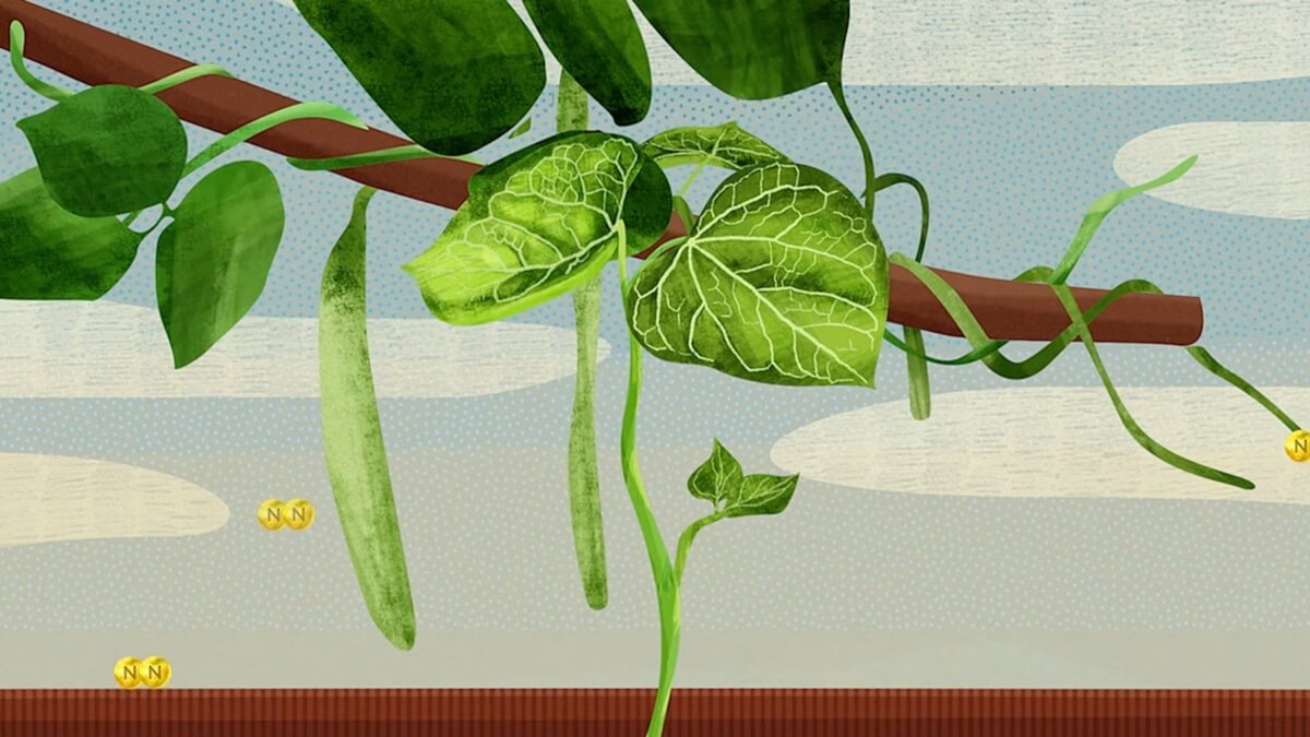 Still from ENSA's Science video