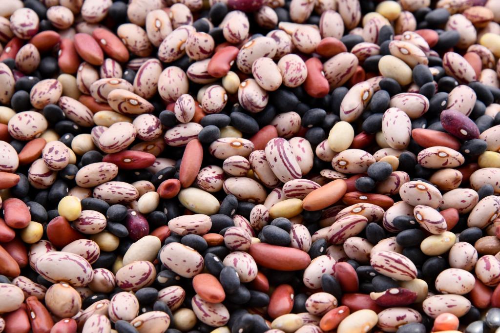 Legumes