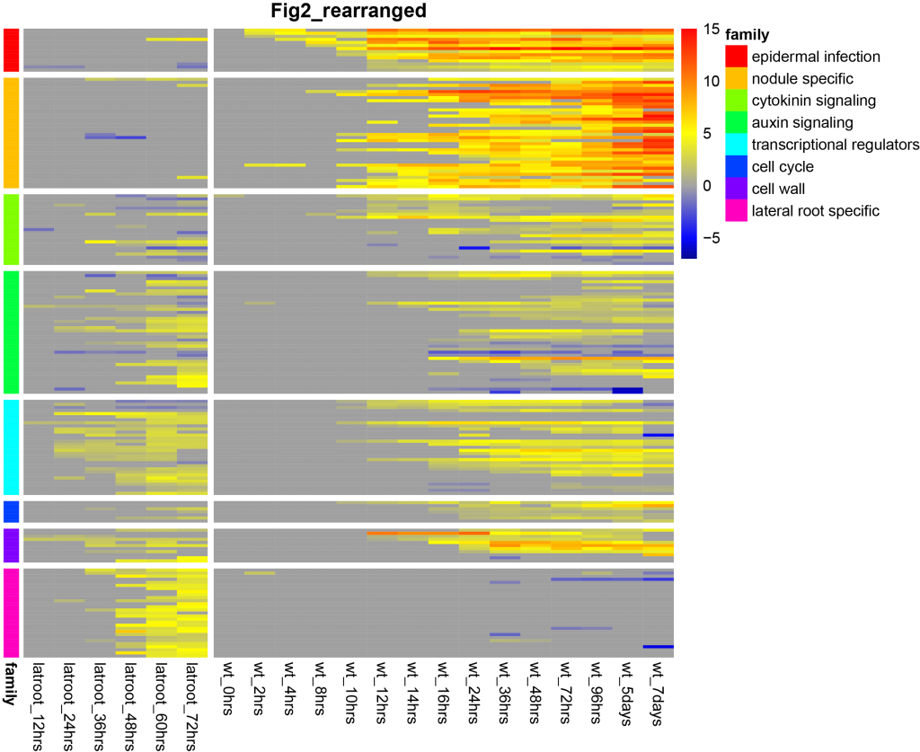 Transcriptomics data comparing the lateral root program to nodule organogenesis program — another project that Tak has contributed to in the ENSA portfolio.